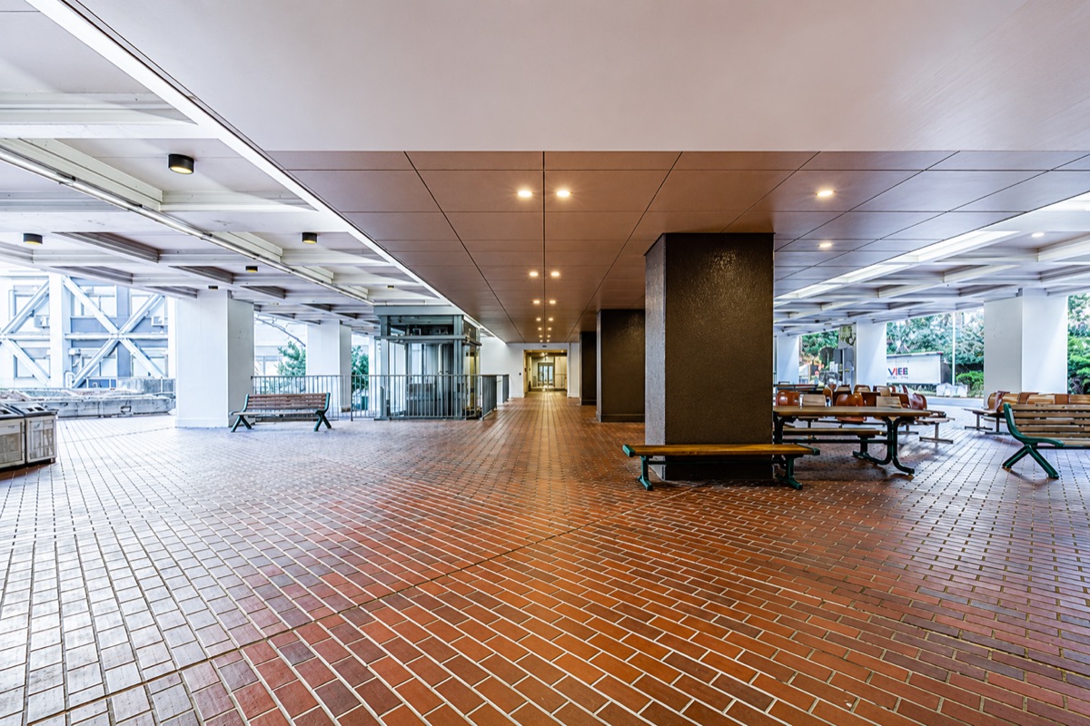 上智大学理工学部改修 3