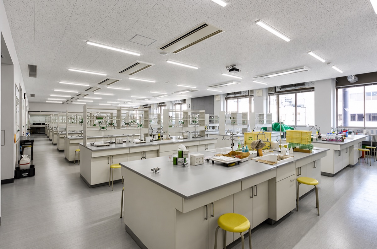 上智大学理工学部改修 9